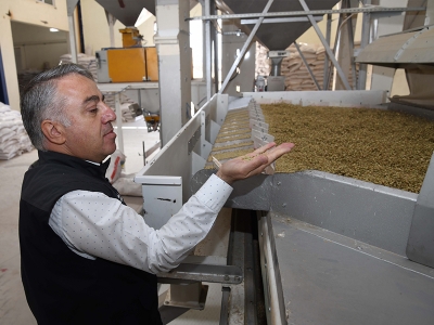 Kayseri’de yerli tohuma büyük destek