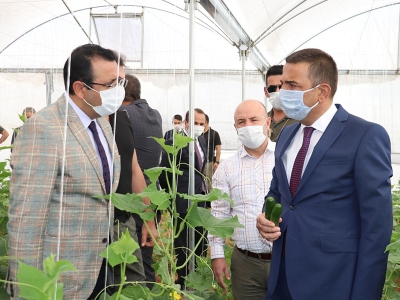 Siirt’te seralar Bakanlık desteğiyle kuruldu