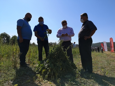 Hassas ürüne özenli hasat