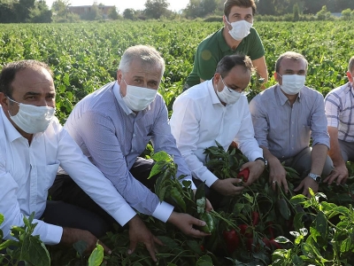 Tarımda damla sulama su israfını önlüyor