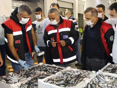 Yasa dışı balık av cezaları 50 bin liraya kadar yükseltildi