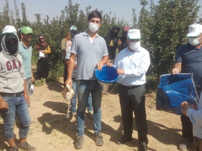 Karaman’ın elması kayıp olmasın projesi