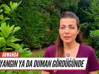 Ünlülerden “yakmayın” çağrısı