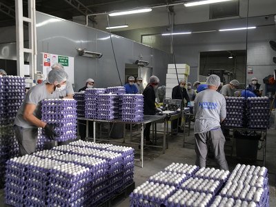 Kayseri yumurtası Ortadoğu pazarında