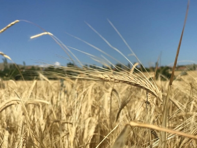 ‘Mobil Tarım’ hayata geçti