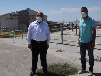 Canlı hayvan pazarlarında normalleşme süreci