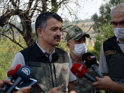 “Gelibolu yangını kontrol altında”