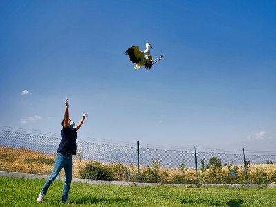 Yaban hayatı, Tarım Bakanlığı’na emanet