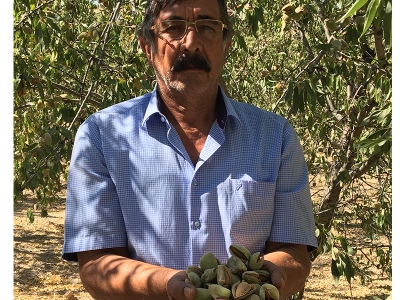 Bilinçli tarım verimi ikiye katladı