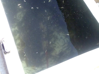 Şanlıurfa’dan sınır ötesine ekolojik destek