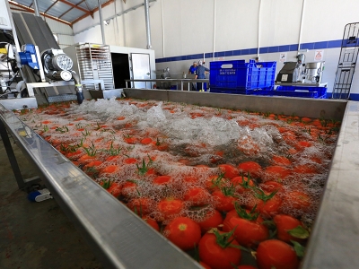 Meyve-Sebze Kurutma Tesisi ile üretici kazanıyor