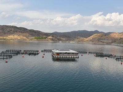 Baraj gölünden 11 ülkeye balık ihracatı