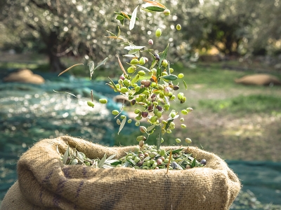 Ürünler kır bekçilerine emanet