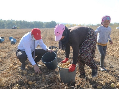 Tarladaki çocuklara çadırda eğitim