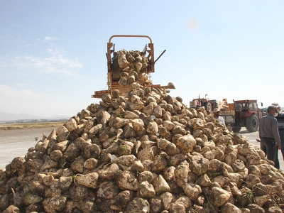 Çarşamba’da 10 yıl sonra bir ilk