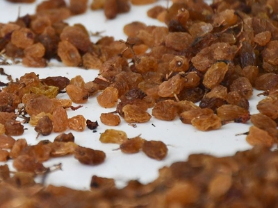 Kuru üzümde alım kriterleri değişti