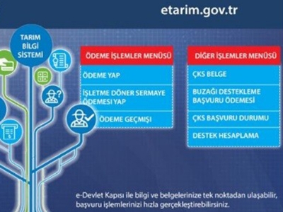 Buzağı destek başvuruları ‘e-Devlet’ üzerinden yapılacak