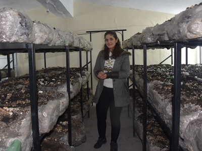 Şırnak’ta mantarlar okulda yetişiyor