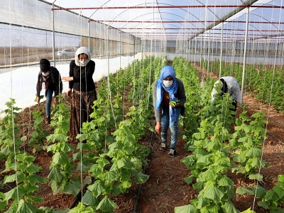 Güçlerini birleştirdiler gelirlerini yükselttiler