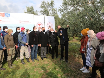 Çiftçilere ders zili zeytin bahçesinde çaldı