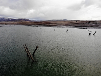 Ağaçlar bu kez kuraklığın simgesi oldu
