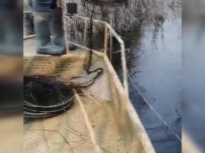 Kaçak avcılara amansız takip