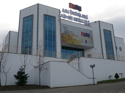 Bu tesis sahte bala ‘dur’ diyecek