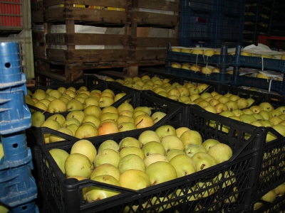 İnegöllü üreticiler ihracatla güldü