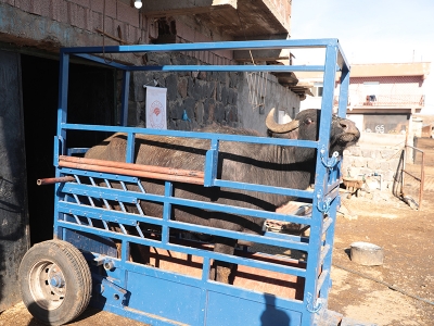 Mandalar verimlilik şampiyonu