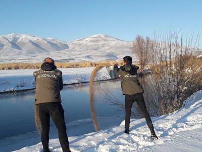 Van'da yaban hayvanlarına yem desteği