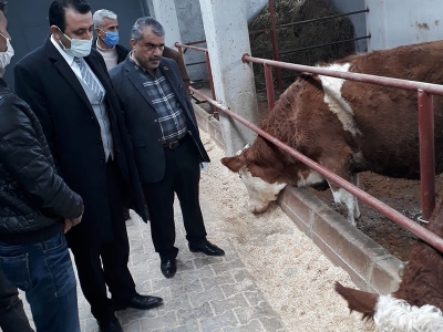 Siirt’te süte büyük yatırım