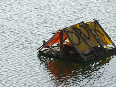 Göletin ortasını mini evlerle kuş cennetine çevirdiler
