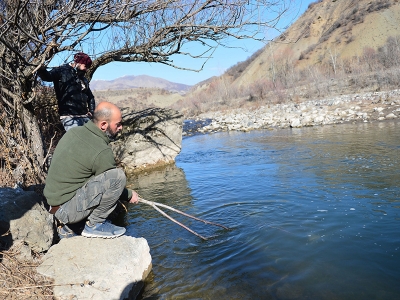Kaçak elektrikle balıkları telef ettiler