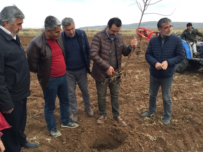 Siirtli üreticinin yeni gözdesi ceviz ve badem