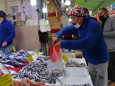 Hamsi avcılığı kısmi olarak durduruldu