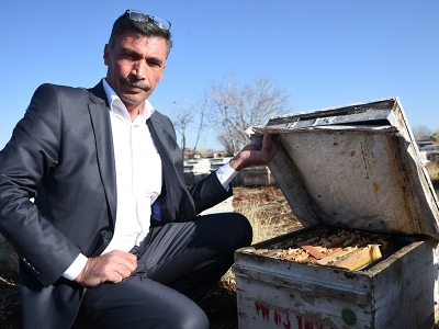 Bal fiyatlarındaki artış arıcıların yüzünü güldürdü