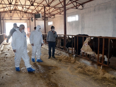 Muş’ta çiftçilere 123 milyon lira hibe