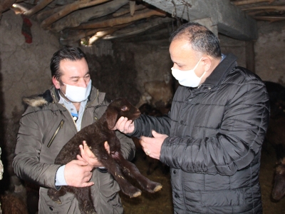 Iğdır’da tarıma kış molası yok