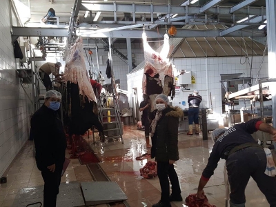 Mezbaha denetimleri devam ediyor