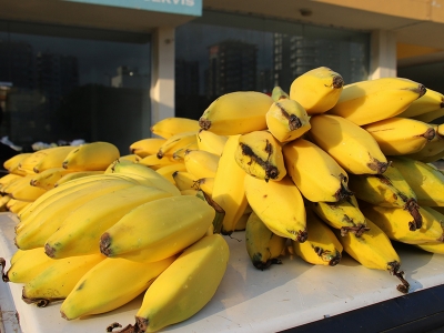 Erdemli muzu tescillendi