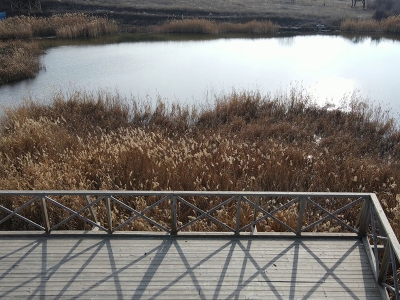 Kuraklık 3 bin yıllık antik barajı da etkiledi