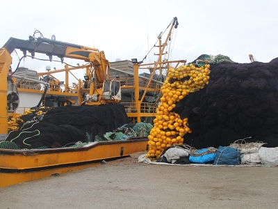 Balıkçılar hamsi ağından istavrit ağına geçiyor