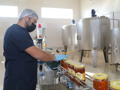 Bal üreticilerinin sayısı desteklerle artıyor