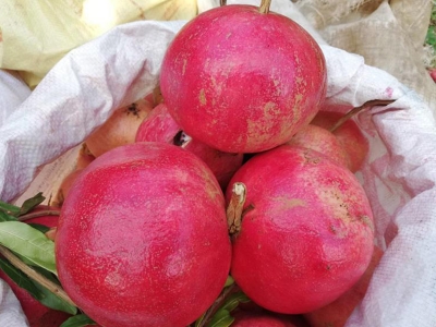 Nar ekşisi izlenimi veren narlı soslar yasaklanacak