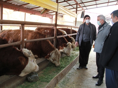 Tarım teşkilatı besicinin yanında