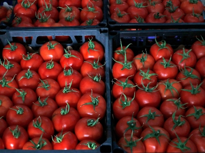 Muğla dünyaya tonlarca tarım ürünü ihraç etti