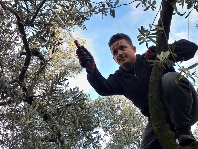 Aktarda kilosu 100 lira, bahçede bedava