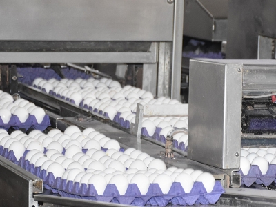 Afyonkarahisar 32,6 milyon dolarlık yumurta ihraç etti