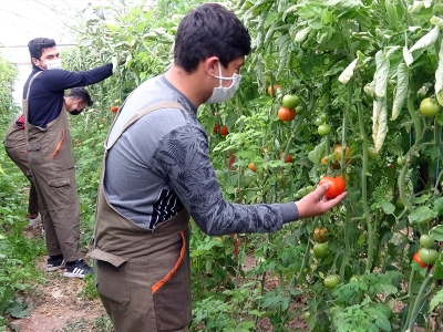 Okulda üretiyorlar pazarda kazanıyorlar