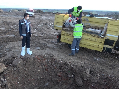 100 kilo et imha edildi, tesis mühürlendi